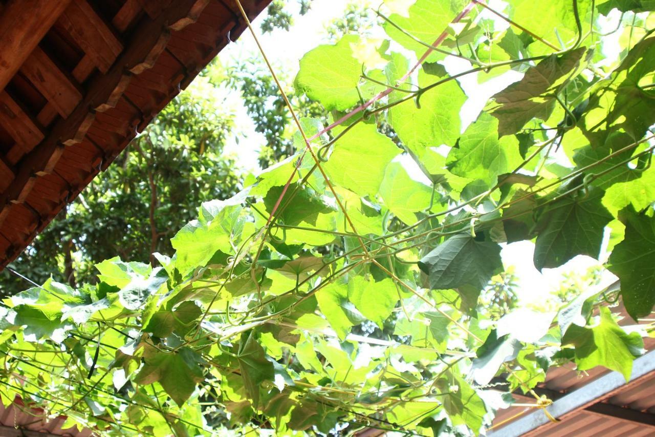 Chicken'S House- Duong Lam Homestay Hanói Exterior foto